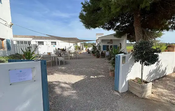 Flamingos in den Salzfeldern von Es Trenc