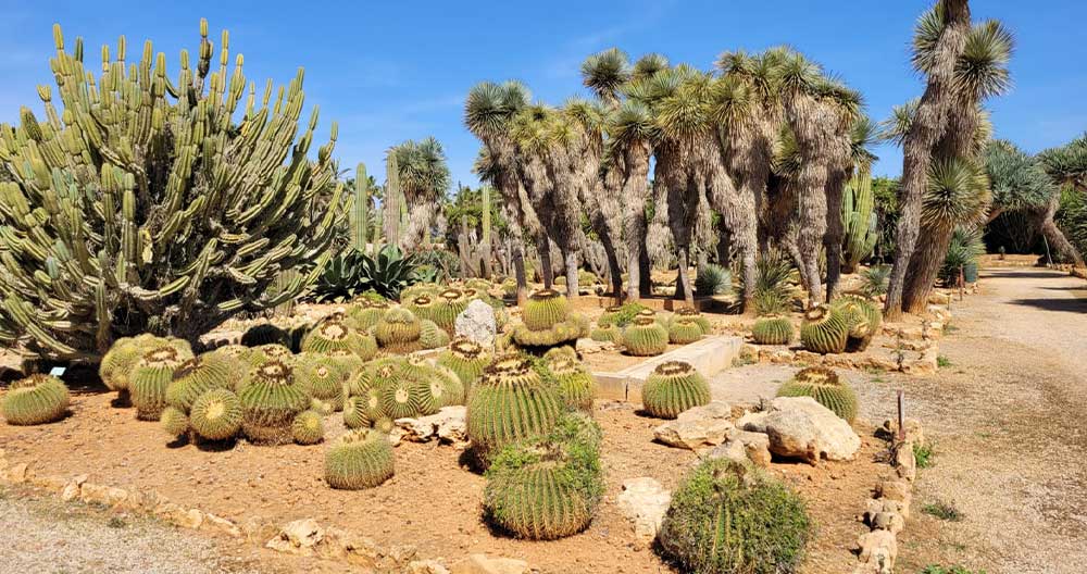 Botanicactus - Wunderschöne Anlage.