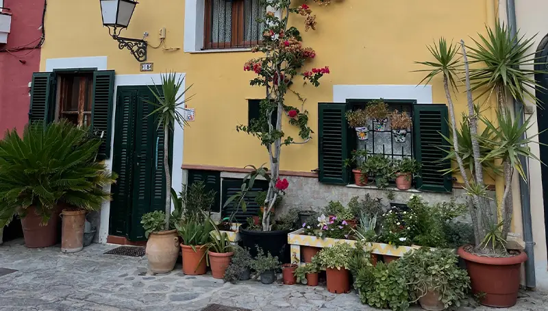 Stadtrundgang vom Plaça de la Reina ins Szeneviertel Santa Catalina – Palma de Mallorca