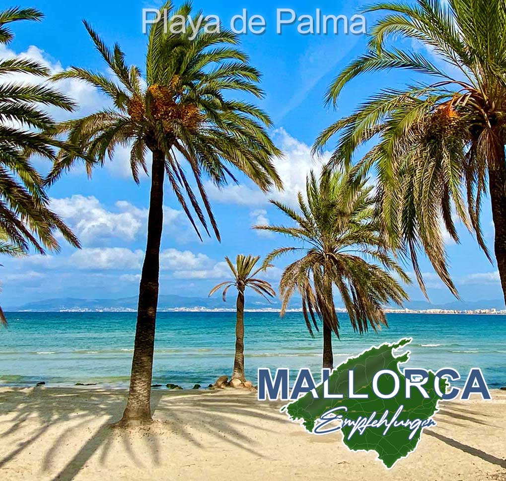 Ausflüge und Halb- und Ganztagestouren an der Playa de Palma