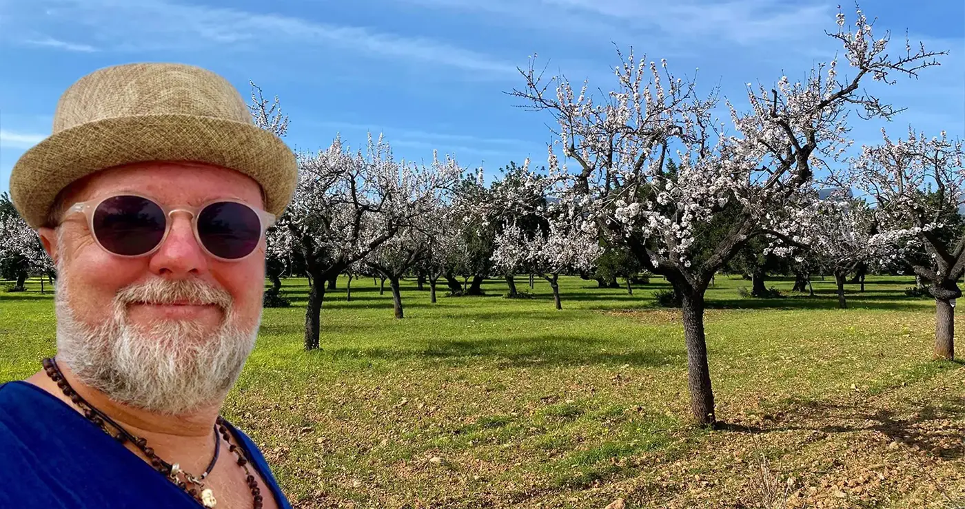 Mandelblüte auf Mallorca