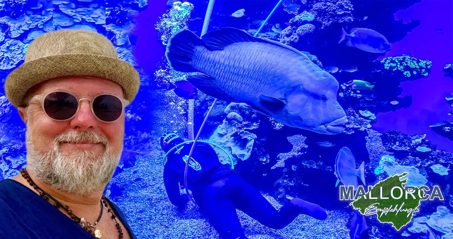 Palma Aquarium – Beeindruckendes Aquarium an der Playa de Palma Palma Aquarium an der Playa de Palma mit großem Haifischbecken