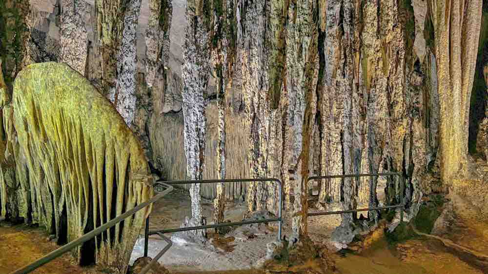 Street Art Palma Bild 1