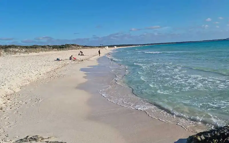 Platja Es Trenc – längster Naturstrand Mallorcas mit türkisfarbenem Wasser