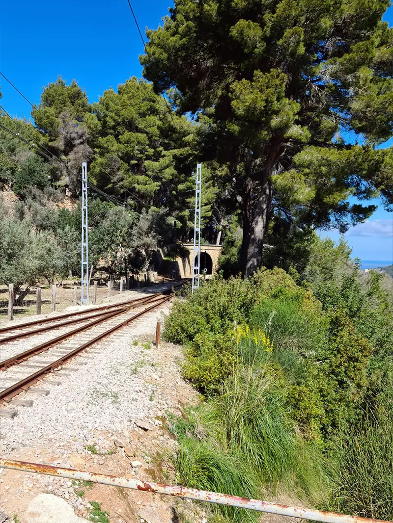 Tren de Sóller Bild 4